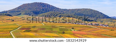 Deutsche Weinstrasse (German Wine Road) Vineyard Rural autumn landscape,  Palatinate region, banner. Sunny colorful vineyards landscape in autumn, Rhineland-Palatinate, Germany. 