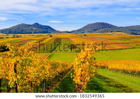 Beautiful vineyards landscape in autumn, Rhineland-Palatinate, Germany. Deutsche Weinstrasse (German Wine Road) Vineyard Rural autumn landscape,  Palatinate region, banner
