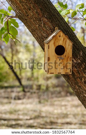 Wooden birdhouse attached to a tree trunk in a city park. The picture was taken in autumn in Russia, in the city of Orenburg