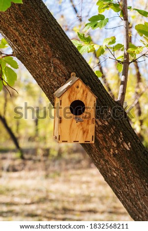 Wooden birdhouse attached to a tree trunk in a city park. The picture was taken in autumn in Russia, in the city of Orenburg