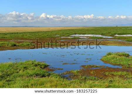 African landscape lake Amboseli Kenya