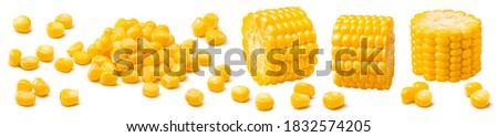 Corn set isolated on white background. Kernels and sliced cobs. Package design element with clipping path Royalty-Free Stock Photo #1832574205