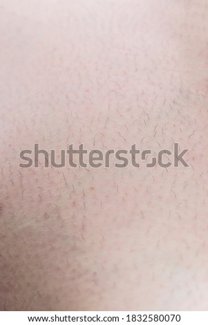 Closeup picture of unshaved hair on woman leg. Hairy skin before depilation, shaving. Females beauty procedure for every day care. 