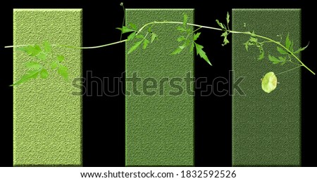  Art style with leaves and flowers abstract nature backgrounds cover  Poster Templates