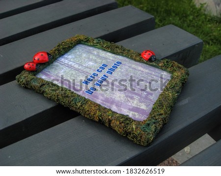 Moss photo frame with a family of ladybugs. Inscription - your photo can be here.