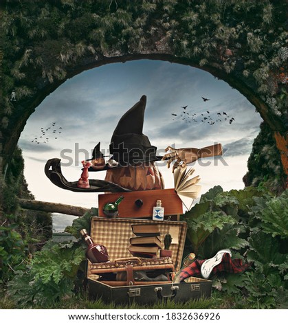 Collage of halloween witches' equipment on meadow and sky background, Saints' Eve. Pumpkin, snakes, hat, books, broom. Black friday, sales concept. Copyspace. October, autumn time. Creative artwork.