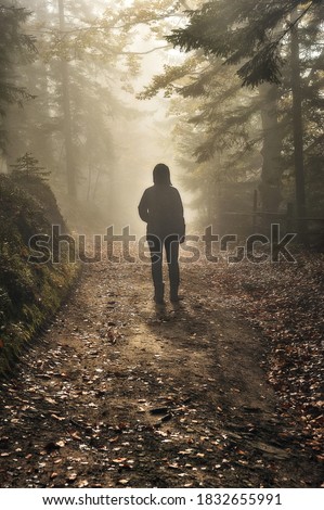 woman in the woods. tourist walking in the misty autumn forest