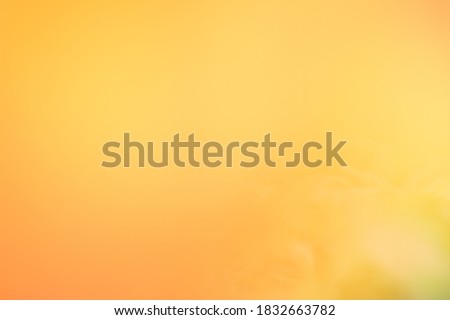 abstract blurred of yellow colorful, abstract yellow color, yellow background, 