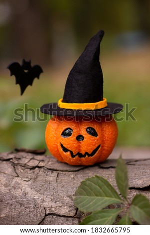 Funny Halloween pumpkin in witch hat and bats in the garden
