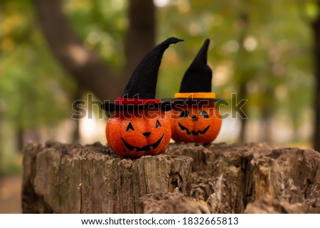 Two funny Halloween pumpkins in witch hat in the garden
