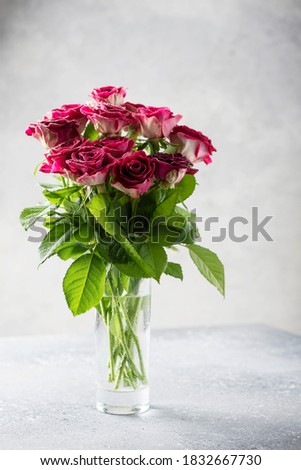 Red wild roses on the light background, selective focus image