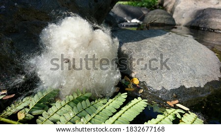 Close-up of cotton texture with leaf foreground