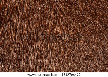 Brown fur full frame for the background