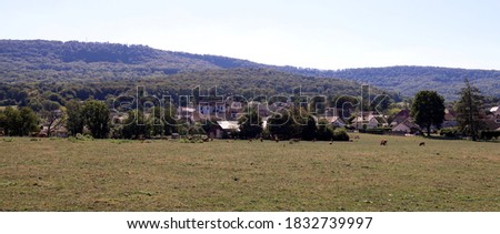 
Beautiful panoramic view over a meadow and in the distance mountains with a small French village with a characteristic village church. Photo was taken on a sunny and warm day in summer.