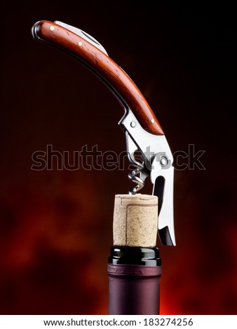 corkscrew with bottle