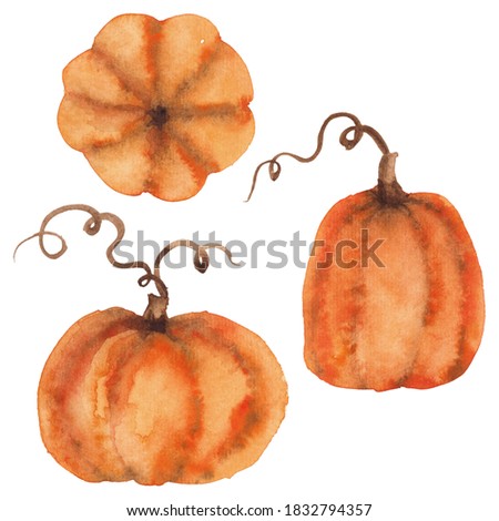 Three hand painted watercolor pumpkins clip art 