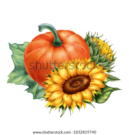 Watercolor illustration with pumpkins and sunflowers isolated on the white background.Hand painted watercolor clipart.