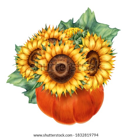 Watercolor illustration with pumpkin and sunflowers isolated on the white background.Hand painted watercolor clipart.