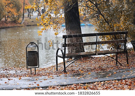Autumn rain in the park during the day
