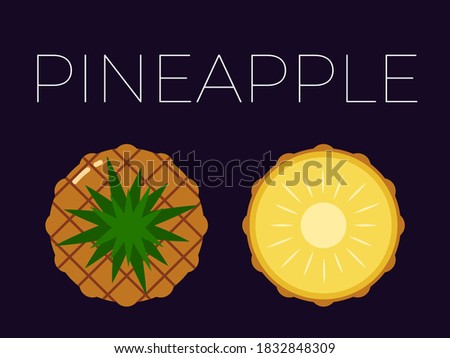 Vector of Pineapple, Ananas and sliced half of Pineapple, Ananas on dark background