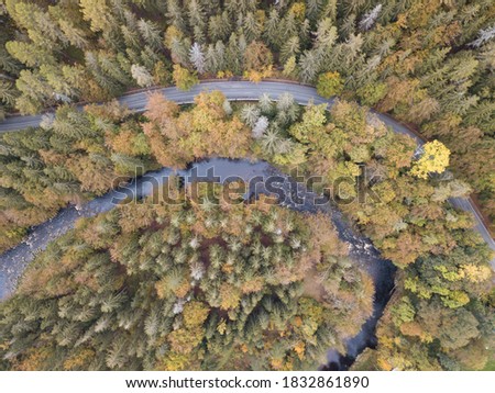 Aerial view of the autumn forest and small stream.
Way along the river in the mountains covered with green and colorful forest, top view. Sunny day.
Picture from the air.