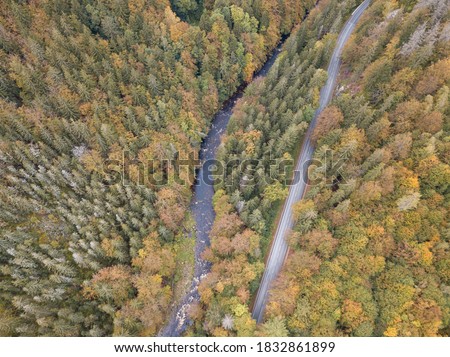 Aerial view of the autumn forest and small stream.
Way along the river in the mountains covered with green and colorful forest, top view. Sunny day.
Picture from the air.