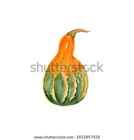 Pumpkin Autumn Thanksgiving clip art,digital, fall , watercolor art,Watercolor pumpkin set with Watercolor pumpkin