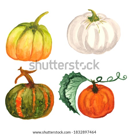 Pumpkin Autumn Thanksgiving clip art,digital, fall , watercolor art,Watercolor pumpkin set with Watercolor pumpkin