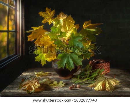Autumn still life with maple leaves 