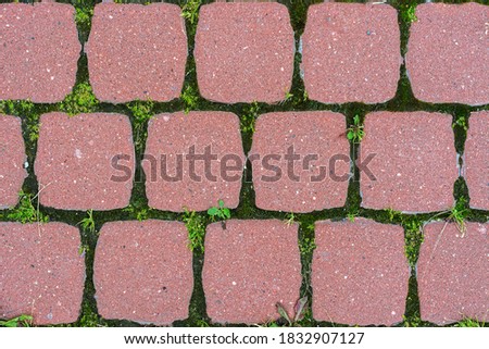 Fragment of a footpath paved with red stone slabs with small splashes for use as an abstract background.