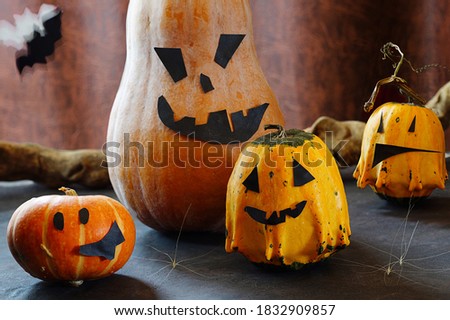 Funny pumpkin heads for Halloween. Bats, unusual spiders.