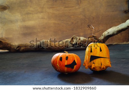Two funny pumpkin heads for the Halloween holiday on the background of an old, wooden snag. Copying space.