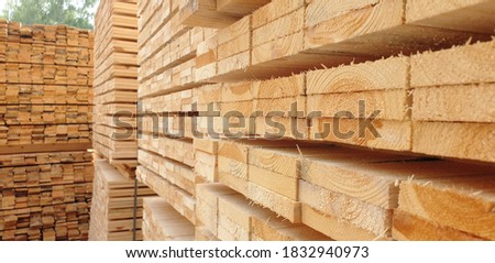 Fresh wooden slabs at the lumber storehouse Royalty-Free Stock Photo #1832940973