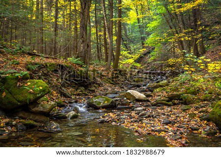 A stream in the woods of Mount Greylock. Royalty-Free Stock Photo #1832988679