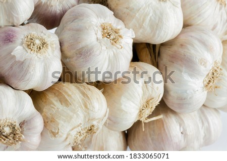 White garlic texture. Fresh garlic closeup. Spicy cooking ingredient picture. White garlic head heap. top view.