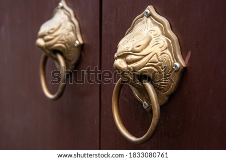 Chinese door handles knocker, Oriental lion face brass door handles close up side details