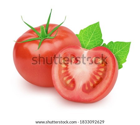 Vegetable composition: tomatoes with leaves on white background. Clip art image for package design.