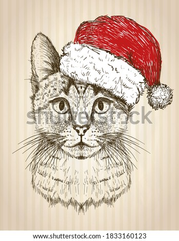 Graphic cat portrait dressed in santa hat, new year card, christmas pet funny illustration