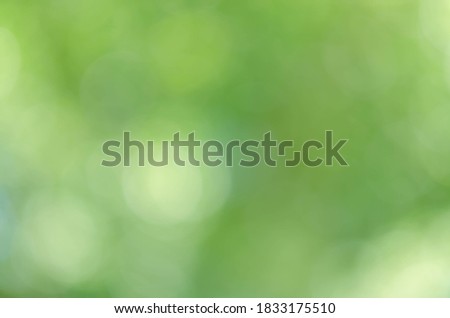 Green bokeh light background blur