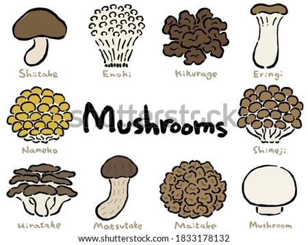 Mushroom Set:Hand drawn vector illustration like woodblock print Royalty-Free Stock Photo #1833178132