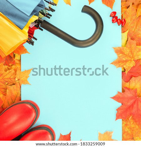 Autumn leaves frame with red rubber boots and umbrella. Fall foliage banner. Weather forecast, rain. Bright orange and red maple tree leaves. Copy space on blue