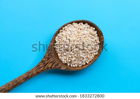 Barley grain in wooden spoon on blue background. 