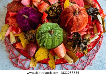 Cute potpourri fall/autumn home decor with velvety pumpkins and light grey background