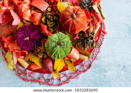 Cute potpourri fall/autumn home decor with velvety pumpkins and light grey background