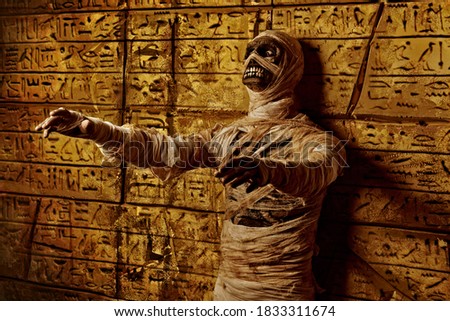Funny emotional Halloween mummy against the background of a wall with ancient Egyptian hieroglyphs. Halloween. Ancient Egyptian mythology.