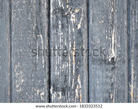 Old wooden texture. Grunge background. 