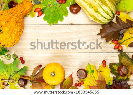 Halloween Pumpkins. Natural harvest with orange pumpkin, fall dried leaves, red berries and acorns, chestnuts on wooden background in shape frame. Creative Top view flat lay autumn composition.