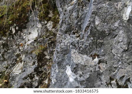 The texture of the rock. Mountain cliff of rock surface.  Natural cave wall.