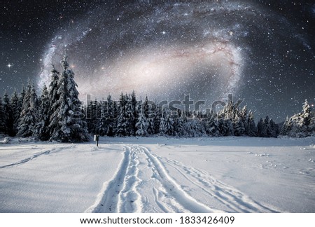 Majestic landscape with forest at winter night time with stars and galaxy in the sky. Scenery background. Elements furnished by NASA.