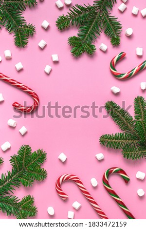 Traditional Christmas candy cane, lollipop, green fir branches, marshmallows on pink background flat lay top view. Creative new year concept. Festive decor, holiday card, sweetness, caramel, candy